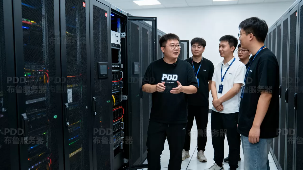 PDD带了多少人来布鲁服务器,布鲁服务器是什么? PDD带了多少人来布鲁服务器,布鲁服务器是什么?