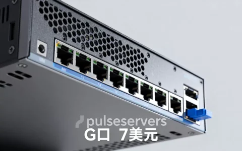 pulseservers加拿大G口不限量仅7美元？，值不值？