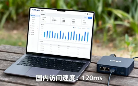 Virpus测评结果究竟如何，Virpus国内访问速度快吗？