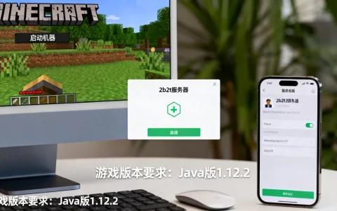 我的世界如何加入2b2t服务器，需要什么条件？