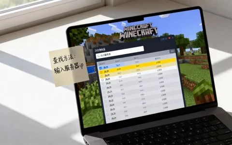 我的世界2b2t服务器究竟怎么找，2b2t服务器ip是多少？