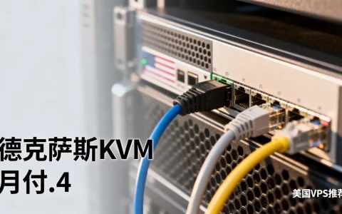 httpzoom德克萨斯KVM月付$2.4吗，美国VPS哪家好