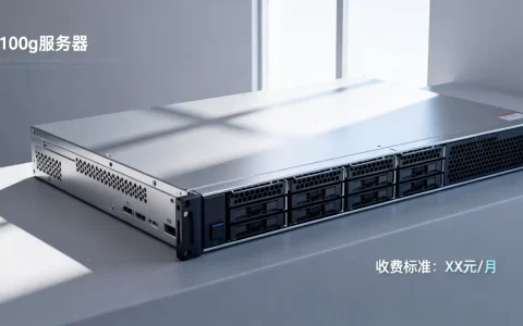 打死100g服务器到底要多少钱，怎么收费