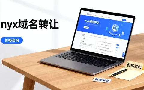 nyx域名转让要多少钱？哪个平台最靠谱？