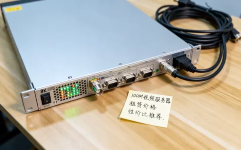 租视频服务器100m多少钱，哪家性价比高？