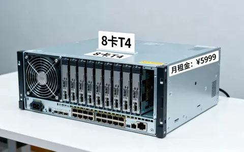 8卡T4服务器租用价格是多少，哪个平台更便宜？