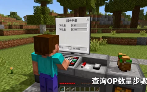 我的世界服务器哪里能看OP数量，怎么查询