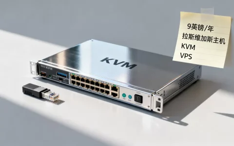 9英镑一年的KVM拉斯维加斯主机靠谱吗，便宜VPS值得买吗