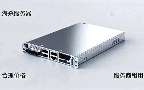 海杀服务器多少钱一台才算合理，哪个服务商租用更便宜？