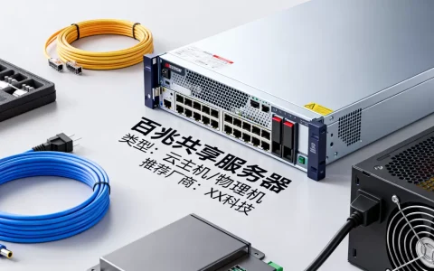 百兆共享服务器有哪些类型可选，百兆共享服务器租用哪家好？