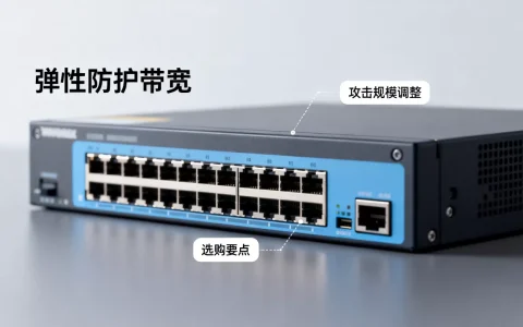 弹性防护带宽如何按攻击规模调整，选购要点有哪些？