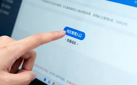 简米云域名到底在哪里查看，域名管理入口在哪