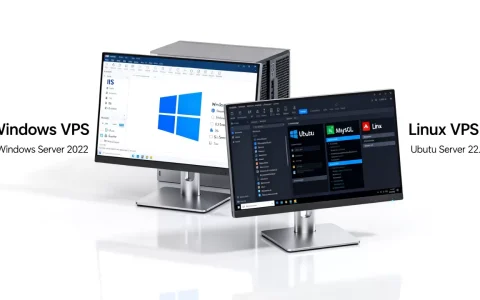 Windows与Linux VPS环境差异多大，哪个更适合建站