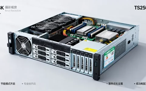 TS250服务器耗电量大如何有效解决，服务器功耗高怎么办