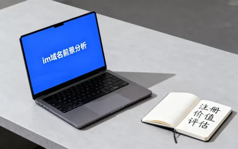 im域名前景到底怎么样，im域名值得注册吗