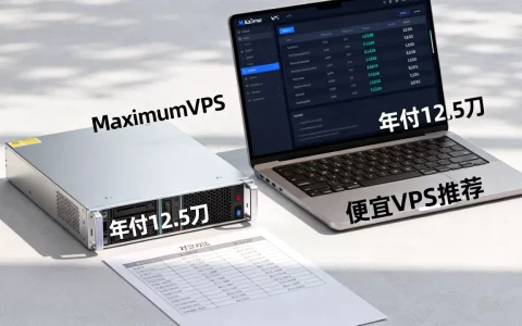 MaximumVPS年付12.5刀值得买吗，便宜VPS哪家好