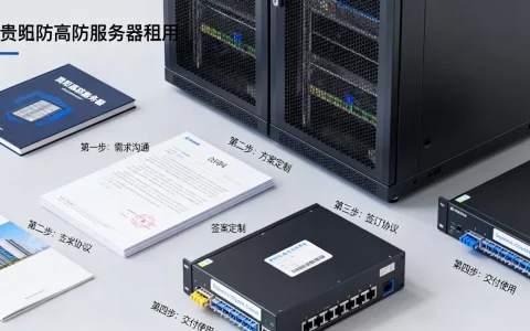 贵阳高防服务器租用流程怎么办理，高防服务器租用哪家好