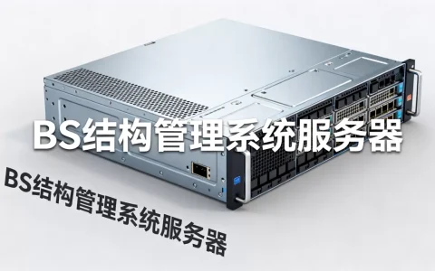 BS结构管理系统服务器多少钱，价格贵不贵？