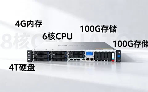 HolderHost5刀4G6核100G4T值吗，国内快不快