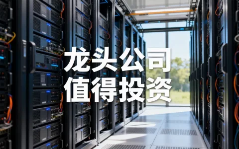 算力服务器股票有哪些龙头公司，值得投资吗？