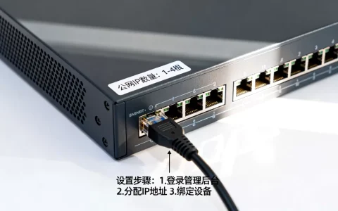 服务器一般需要安装几根公网IP，服务器公网IP怎么设置