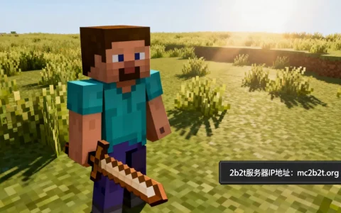 我的世界2b2t服务器怎么进入，2b2t服务器IP地址是多少
