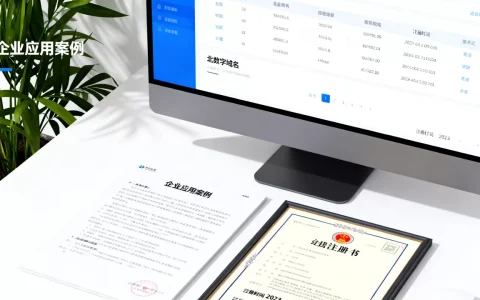 北数字域名到底是什么，为何企业都青睐它？