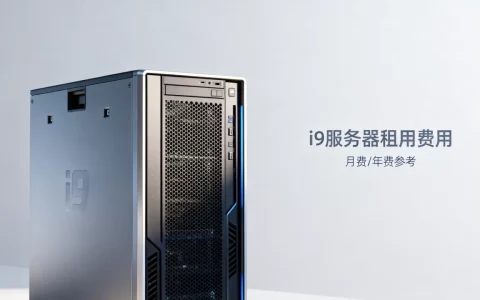 i9服务器租用一个月费用高吗，i9服务器一年多少钱