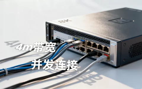 4m带宽服务器到底能撑多少点，4m带宽能支持多少并发连接