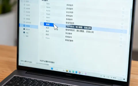 不必要的系统服务如何关闭，安全风险点有哪些