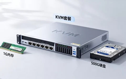 speedykvm $7 KVM套餐性价比高吗，1G内存500G硬盘适合建站吗