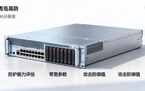 青岛高防服务器租用时到底怎么看防护能力？，哪家好？