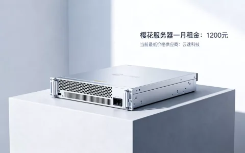 樱花服务器一月租金要多少钱，哪家最便宜？