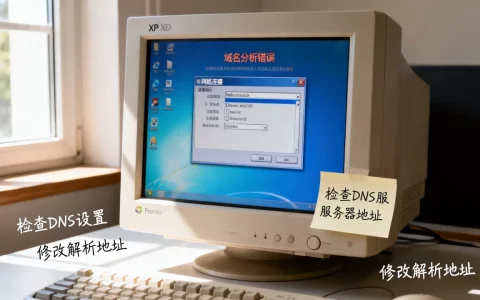 xp系统域名分析错误怎么办，如何修复DNS解析地址？