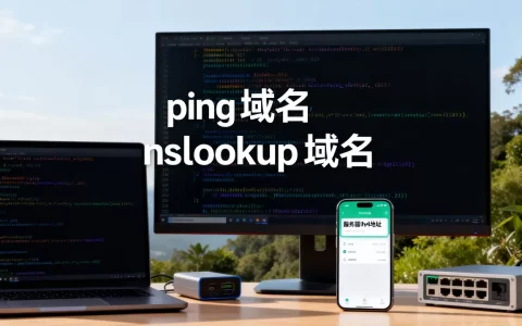 怎么获取网站服务器的IPv4地址，有哪些方法