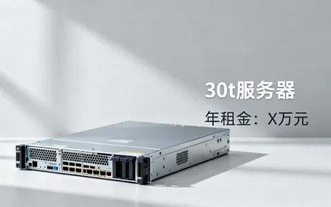 30t的服务器价格是多少？，租用一年要花多少钱？