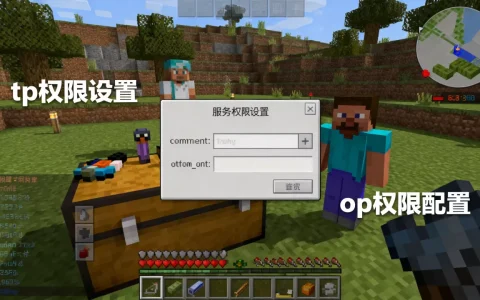 我的世界服务器怎么只给玩家tp权限？,怎么设置op权限？