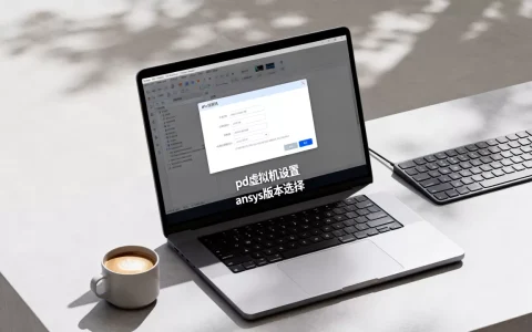pd虚拟机怎么运行ansys，哪个版本好用？