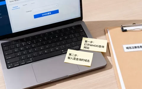 怎么查域名注册人信息，域名所有人查询方法有哪些
