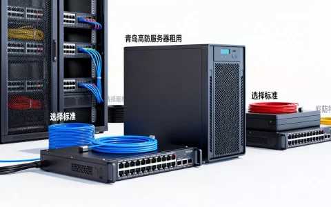 青岛高防服务器租用哪家适合？怎么选最靠谱？