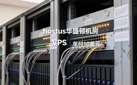 hostus华盛顿机房VPS靠谱吗，年付10美元值不值？
