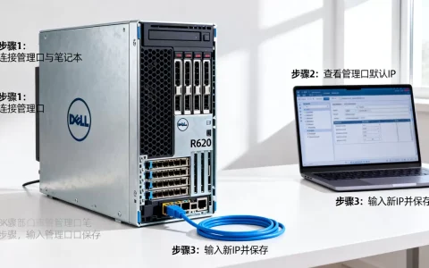 戴尔服务器R620管理口IP怎么配置？，有哪些步骤