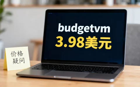 budgetvm 3.98美元是真的吗，为什么这么便宜？