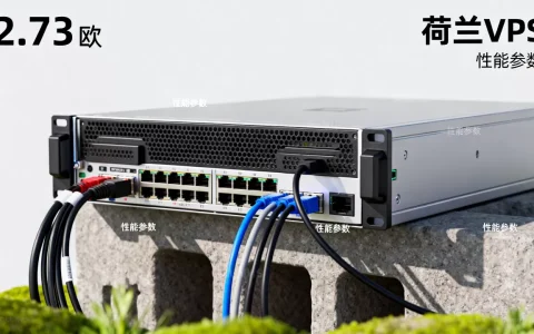 Prometeus荷兰VPS2.73欧能买吗，性能如何？