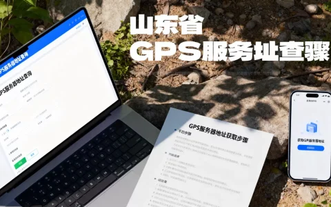 山东省GPS服务器地址在哪查，怎么获取？