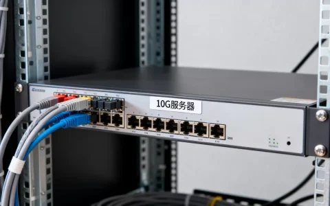 10G服务器租用一个月多少钱，哪个平台便宜又稳定