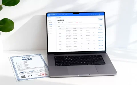 san拼域名到底是什么，注册价格一般多少钱？