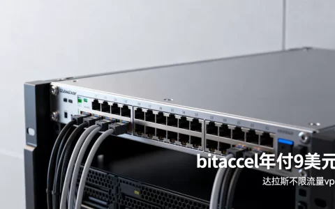 bitaccel年付9美元值吗，达拉斯不限流量vps怎么样
