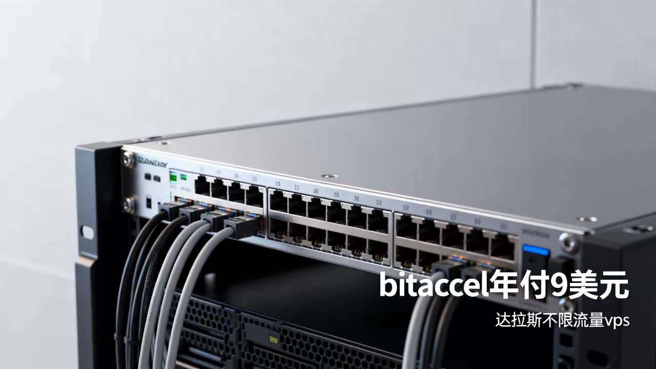 bitaccel年付9美元值吗,达拉斯不限流量vps怎么样 bitaccel年付9美元值吗,达拉斯不限流量vps怎么样