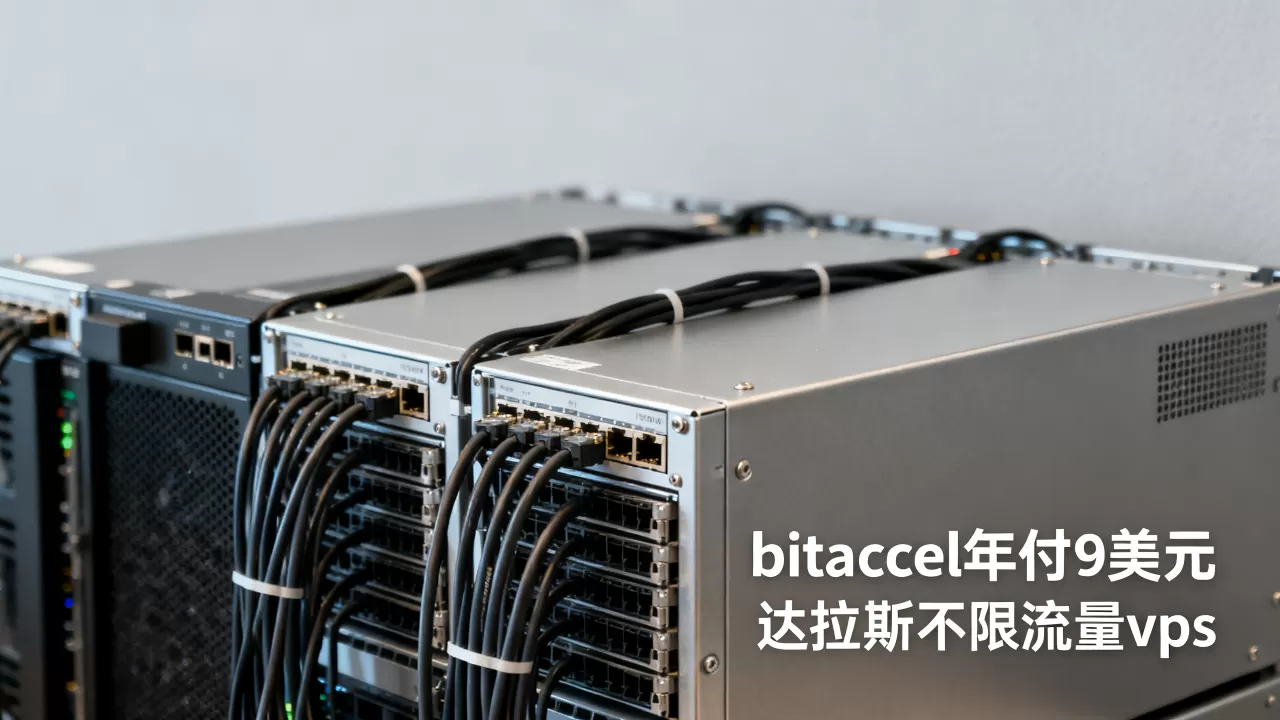 bitaccel年付9美元值吗,达拉斯不限流量vps怎么样 bitaccel年付9美元值吗,达拉斯不限流量vps怎么样